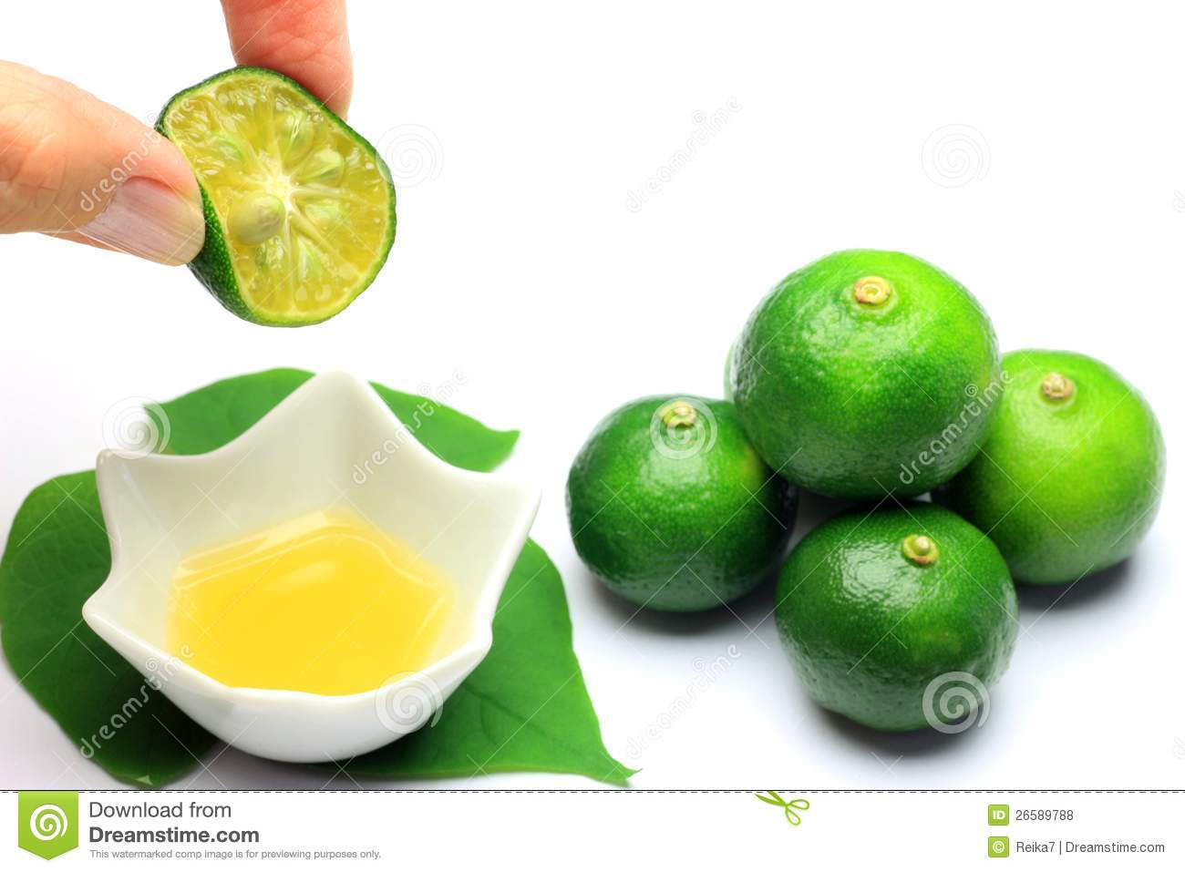 معرفی و راهنمای پرورش درختان میوه - نارنگی تایوانی